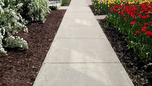 Cost of Sidewalk Slab Replacement in Burnsville