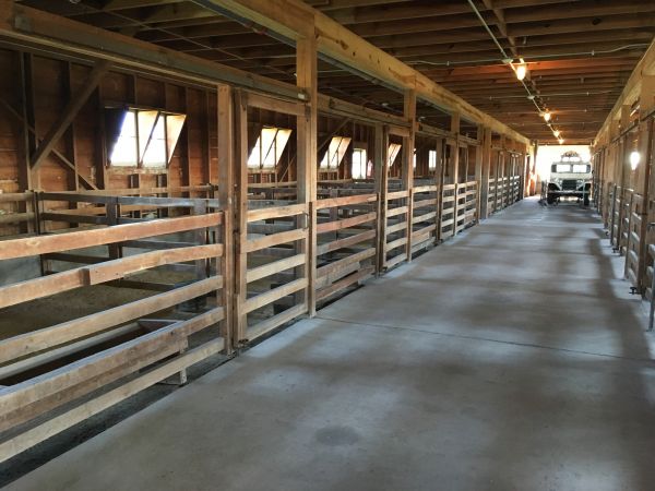 Barn Floor Pouring in Burnsville