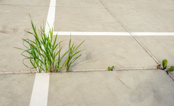 Concrete Parking Installation in Burnsville